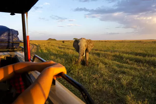 top 3 days tanzania budget safari trips 