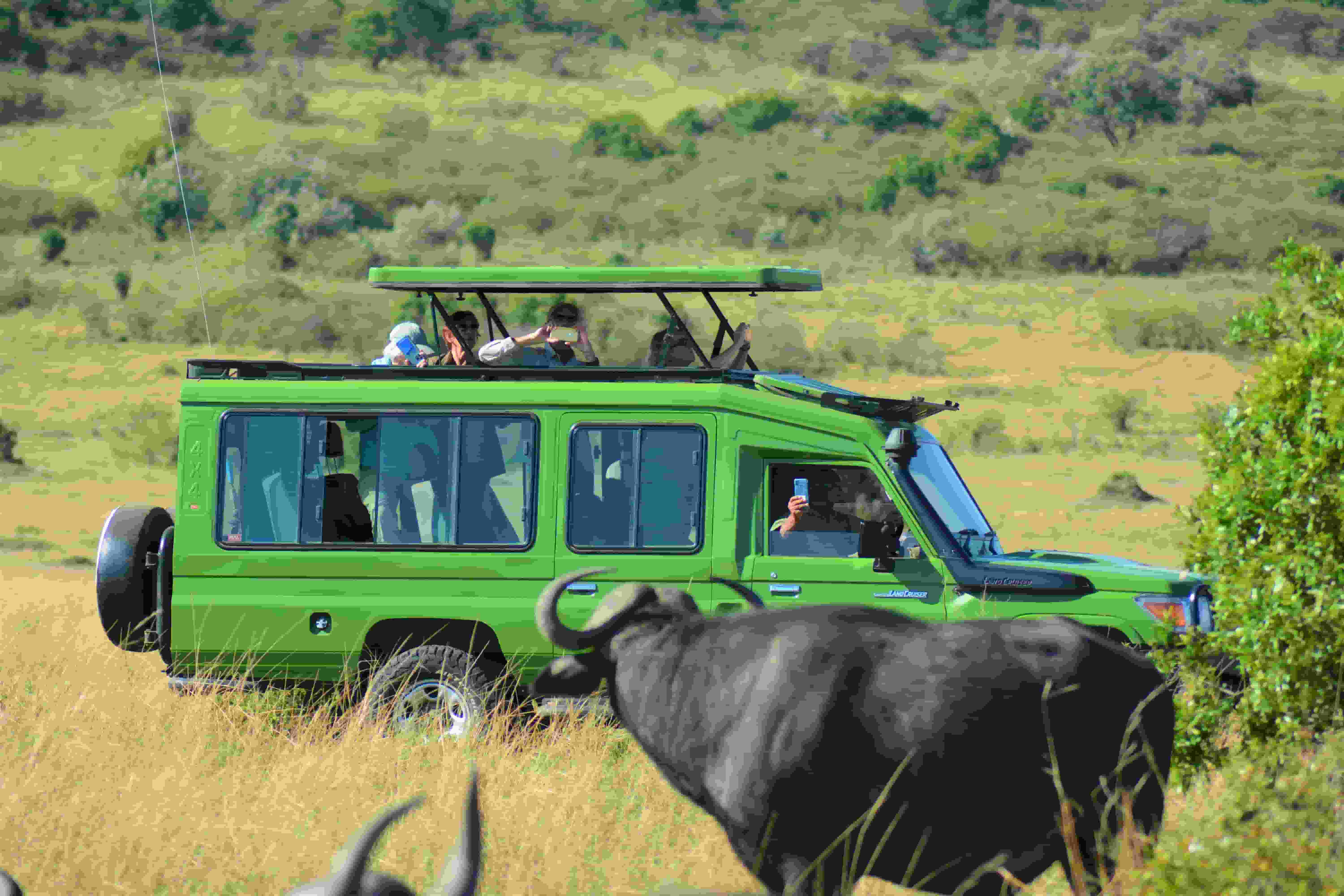 top 3 days tanzania budget safari trips 
