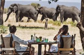 3 days tanzania private mid-range safari 