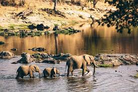 4 days group luxury safari tour