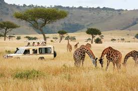 4 days group luxury safari tour