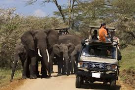 3 days tanzania private mid-range safari 
