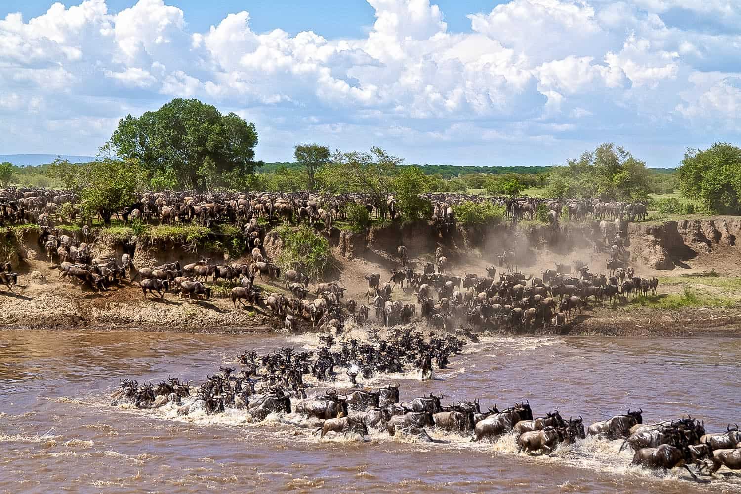 3 days tanzania private mid-range safari 