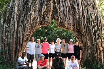 3 days tanzania private mid-range safari 