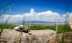 tanzania honeymoon safari packages  tanzania honeymoon safari packages