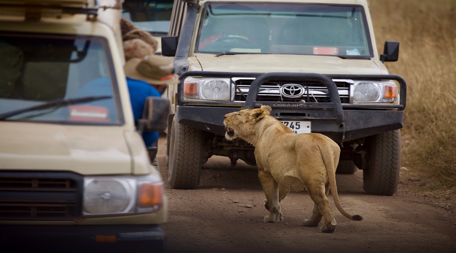 tanzania long camping safari tour