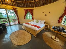 tanzania luxury lodges and safari camps