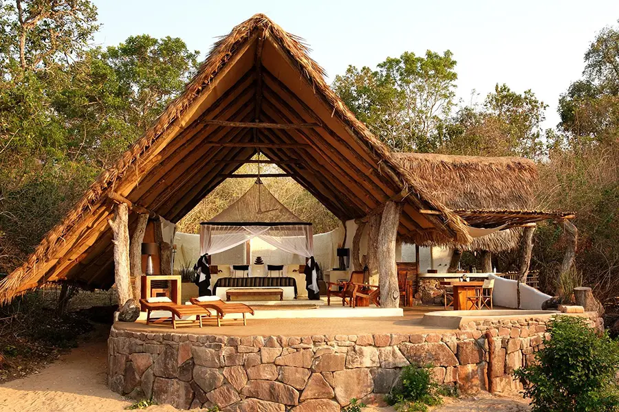 tanzania luxury lodges and safari camps