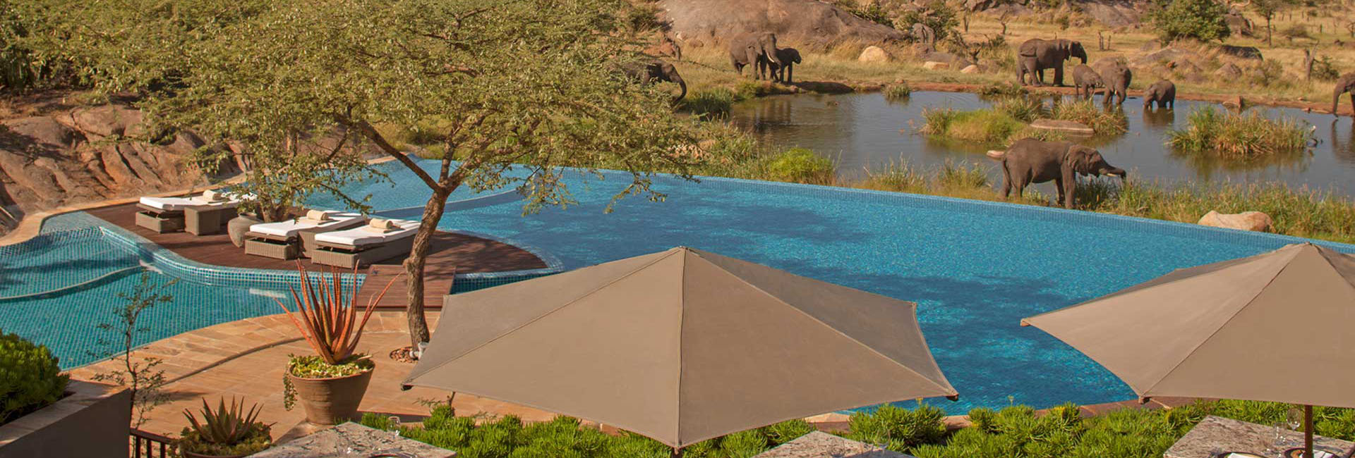 4 days luxury safari