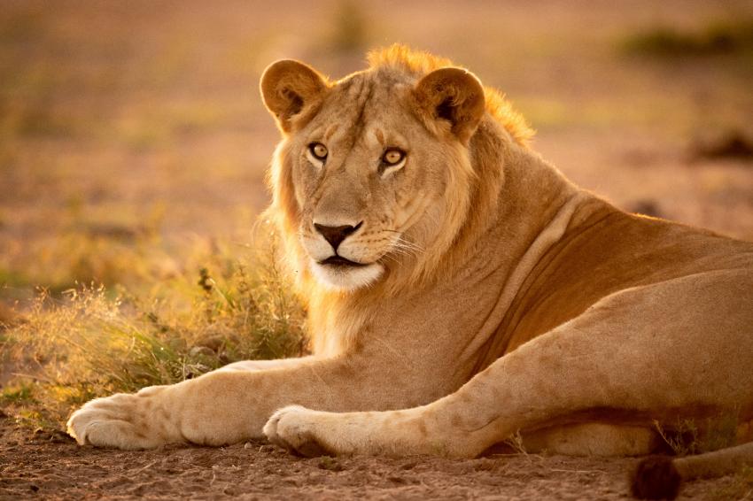 5 days tanzania safari itinerary  