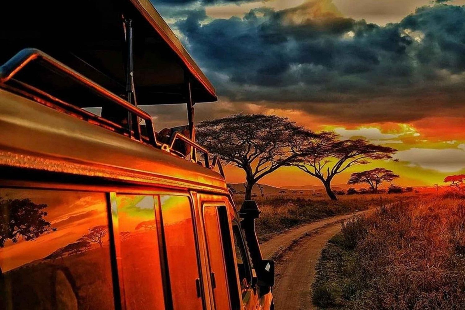 best tanzania safaris and tours 