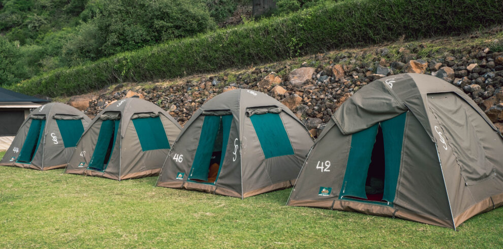 best tanzania budget safari