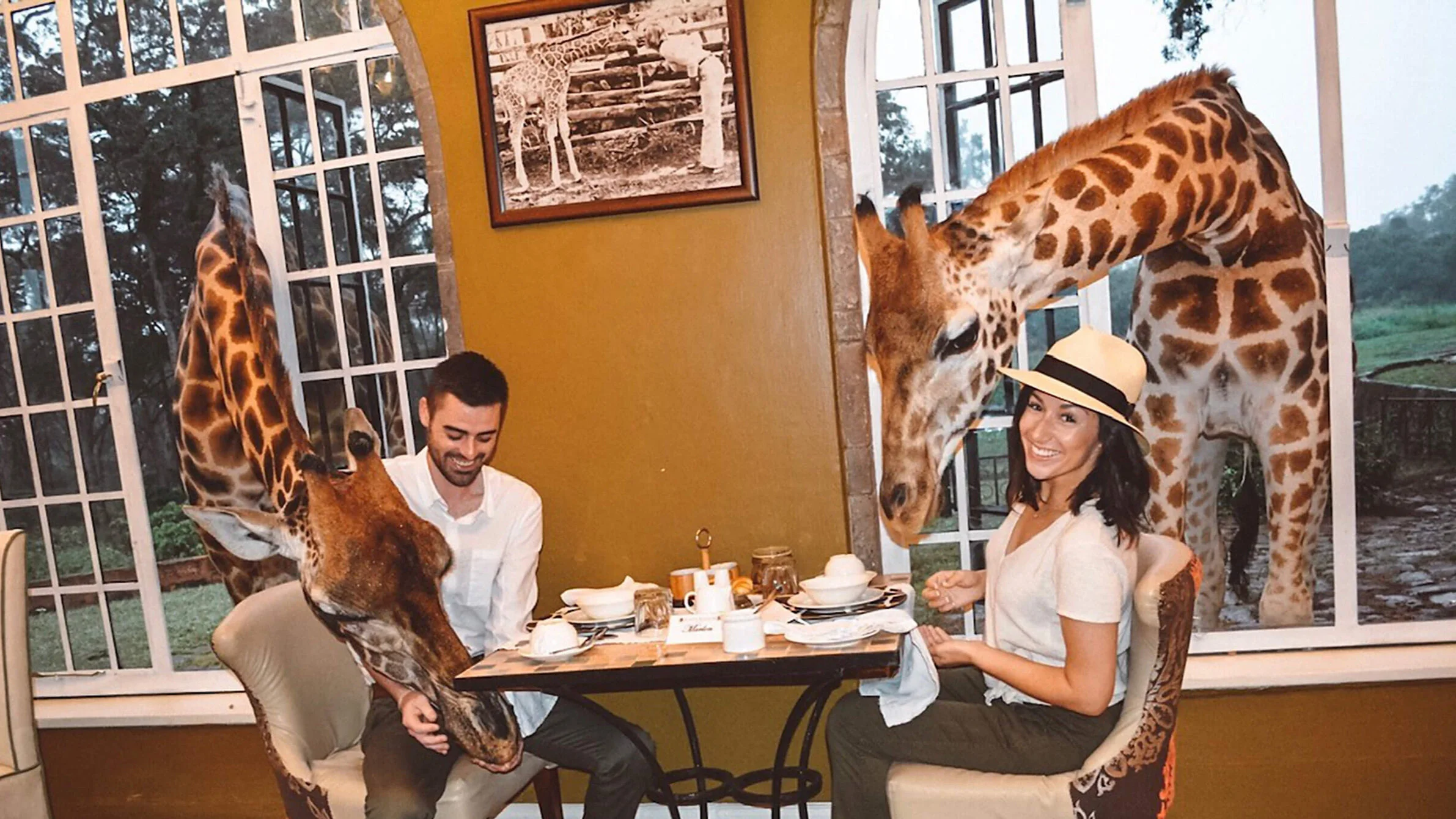 luxury african honeymoon safari  luxury african honeymoon safari