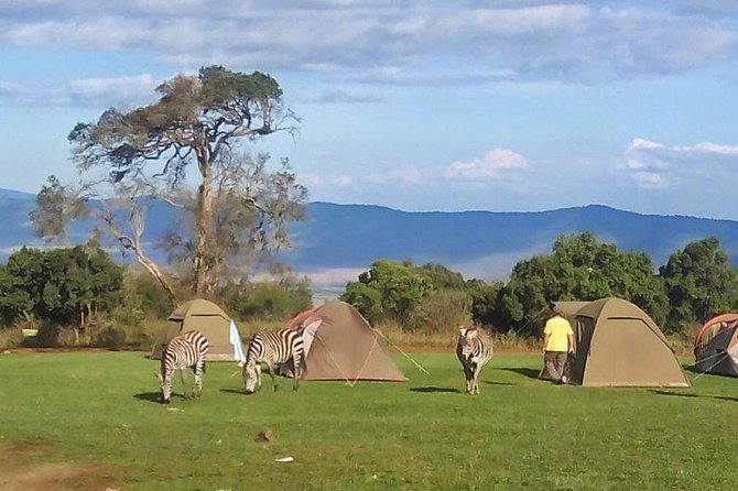tanzania budget camping safari 