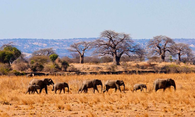 tanzania itinerary 7 days