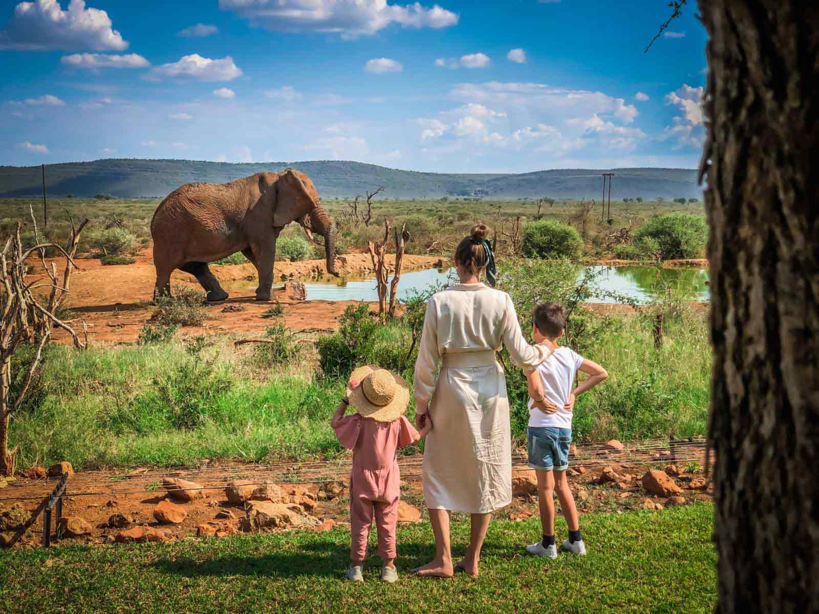 top 10 group safaris in tanzania