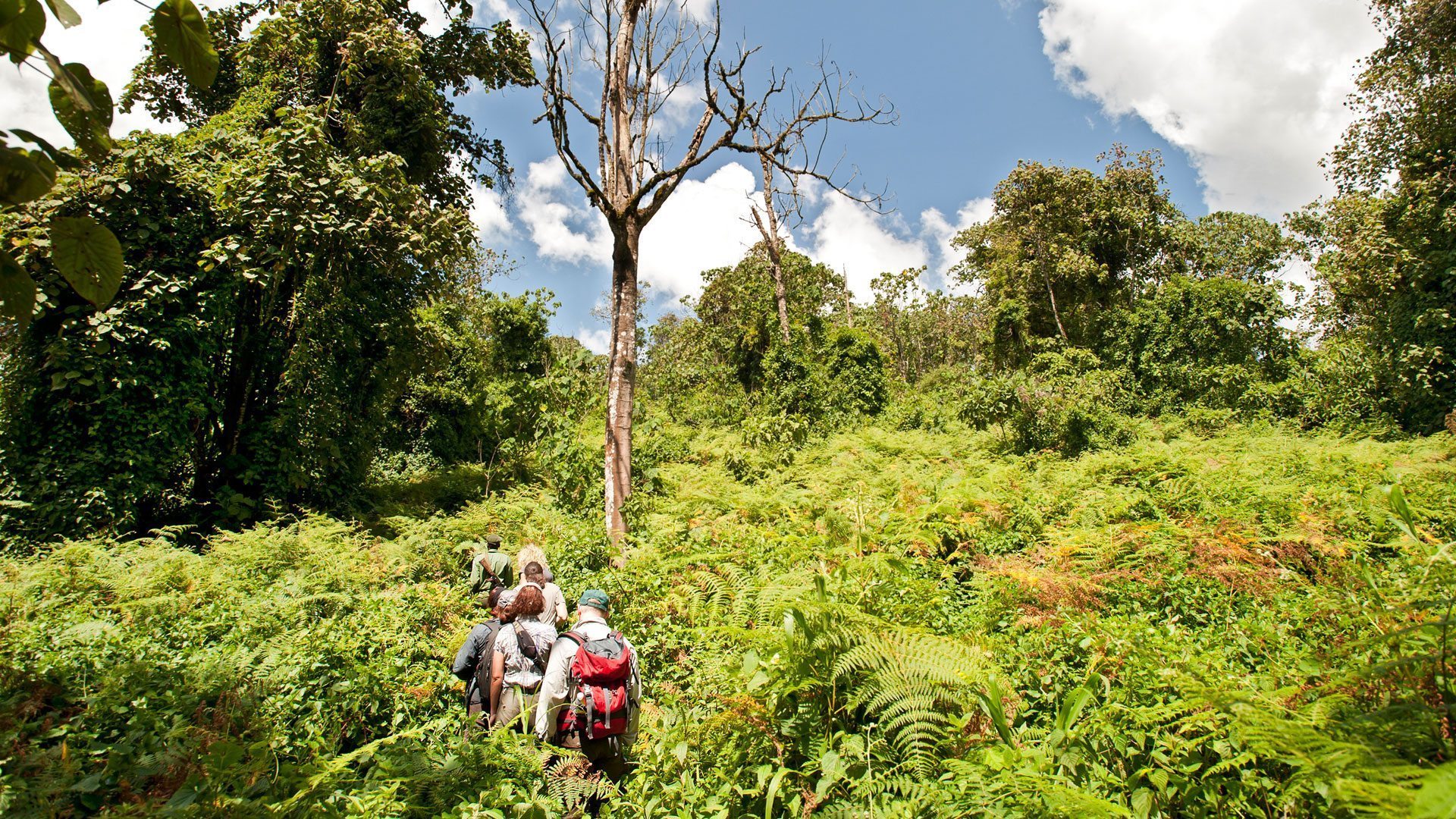 where to stay in udzungwa mountains national park 