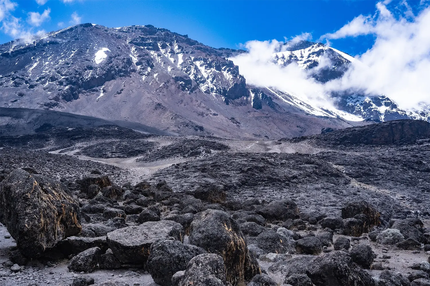 best time to climb kilimanjaro