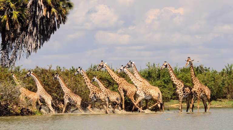 group tours northern tanzania