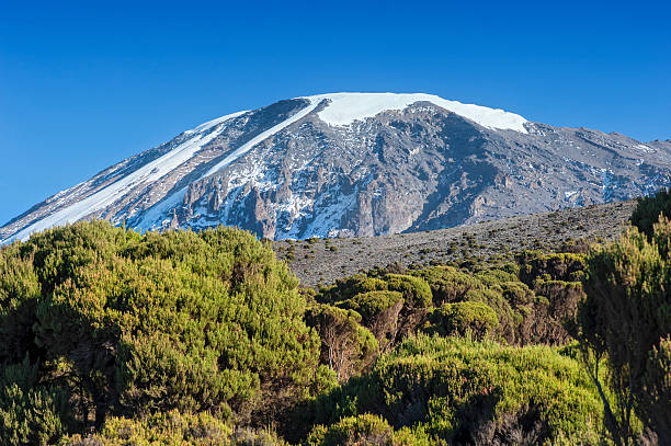 mount kilimanjaro success rates by route