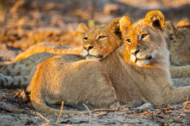 is tanzania safe to visit