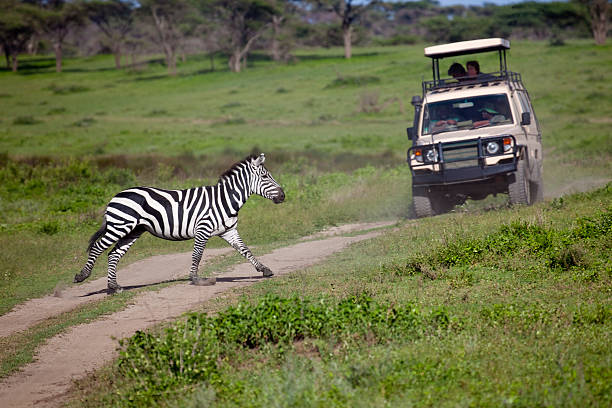all-inclusive tanzania safari and beach holidays