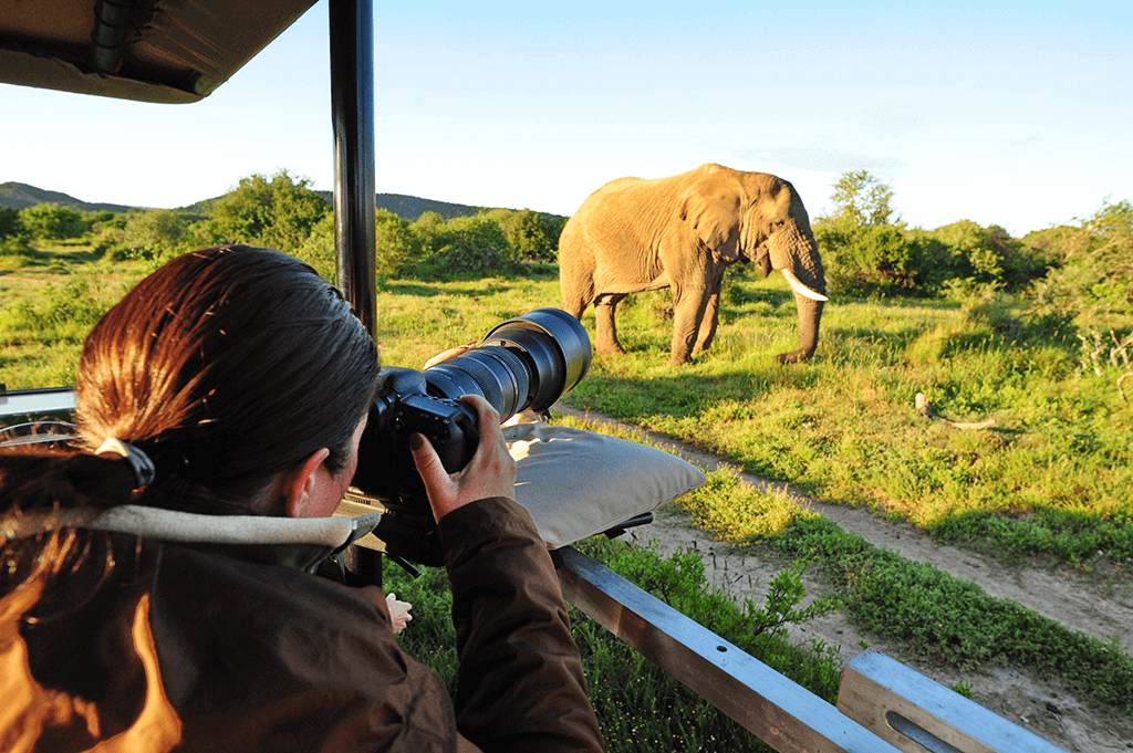 wildlife photograph serengeti