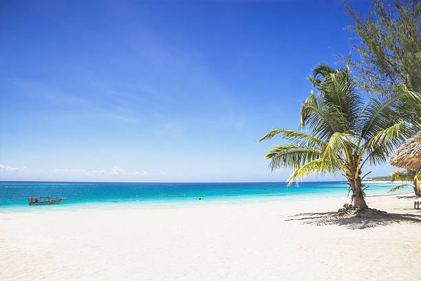 3 days tanzania private mid-range safari 