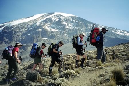 7 Days Lemosho Route