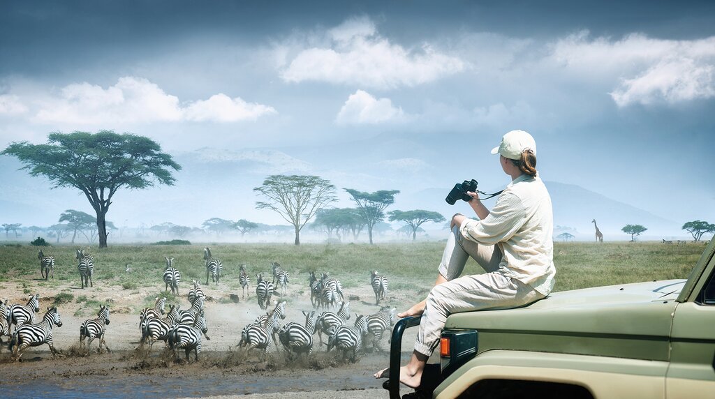 Tanzania Safari