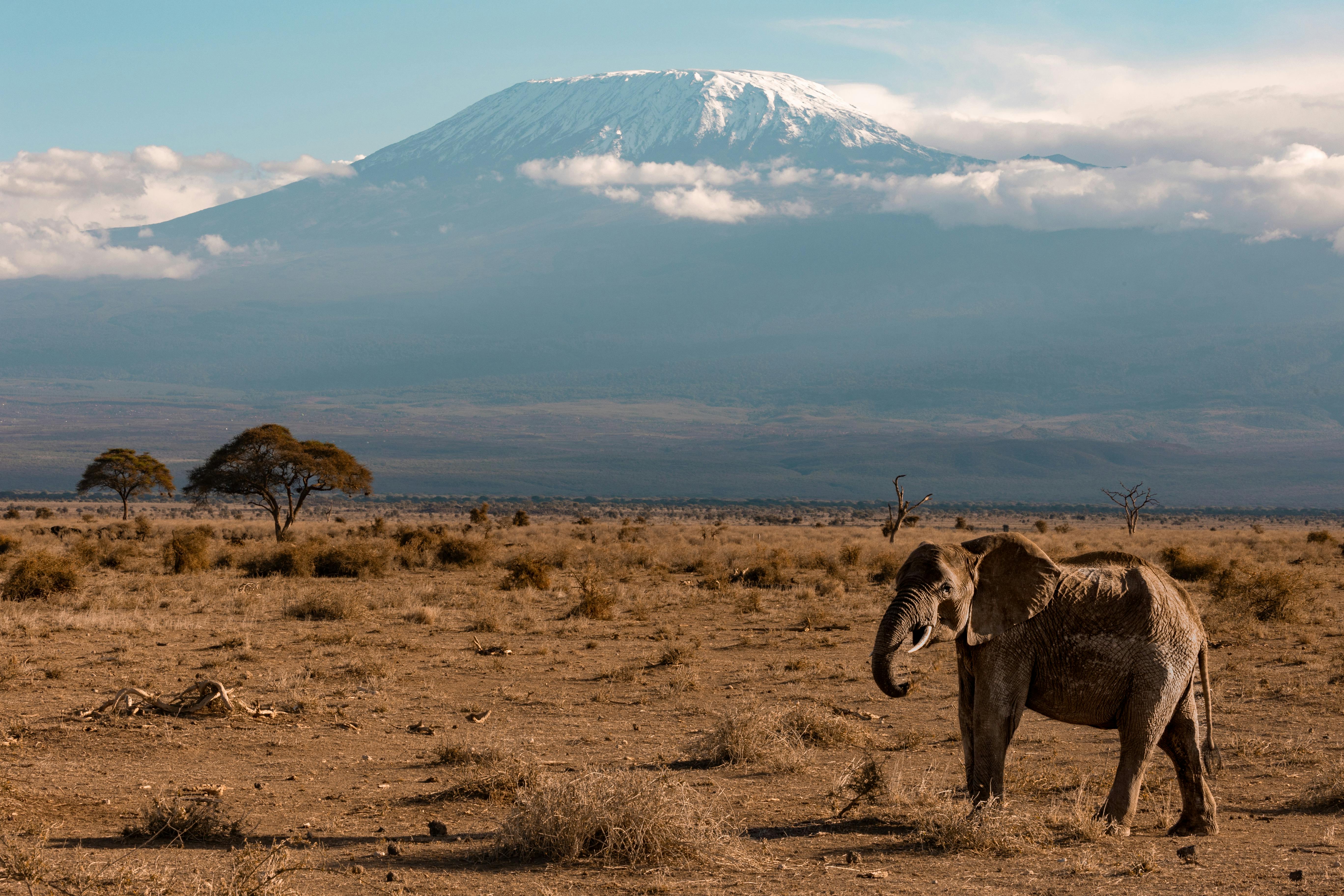 Arusha National Park 1 Day Trip