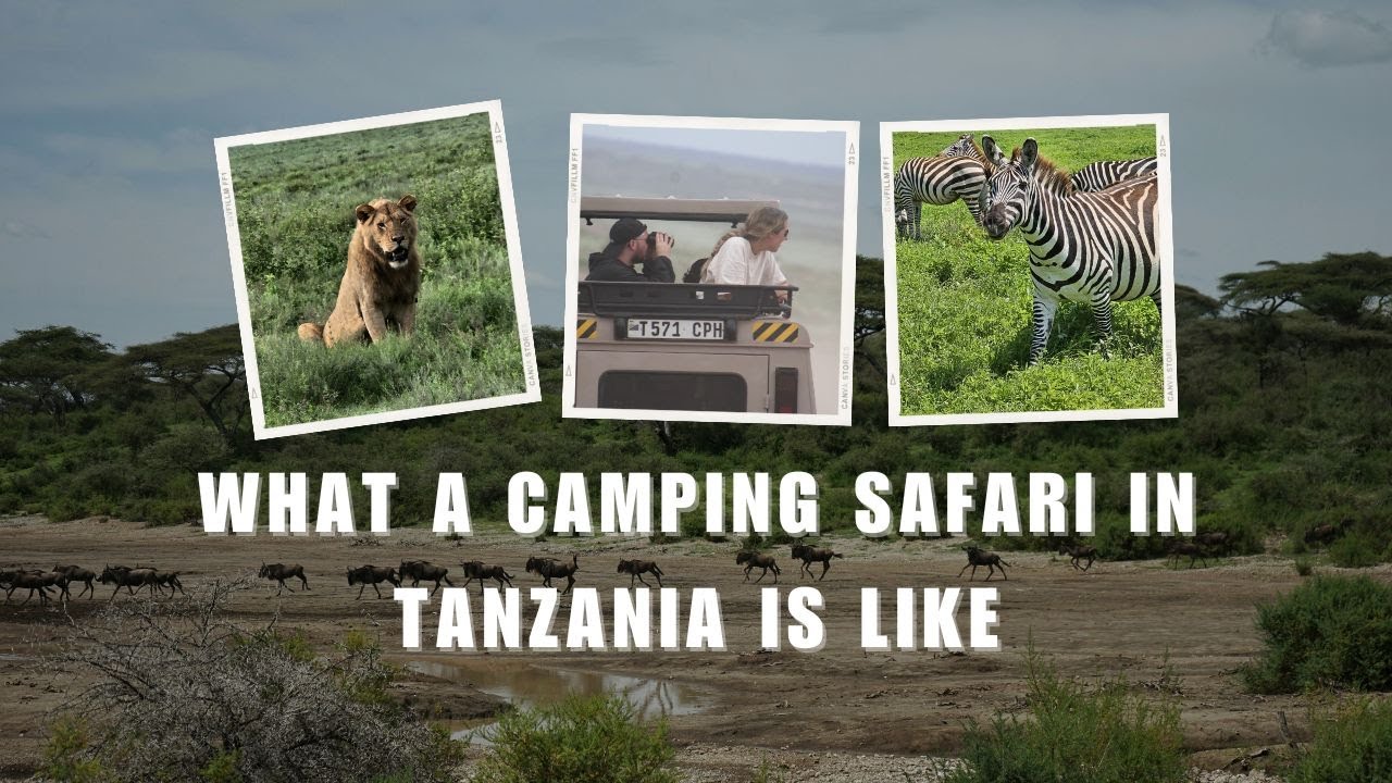What To Pack For Your Camping Safari