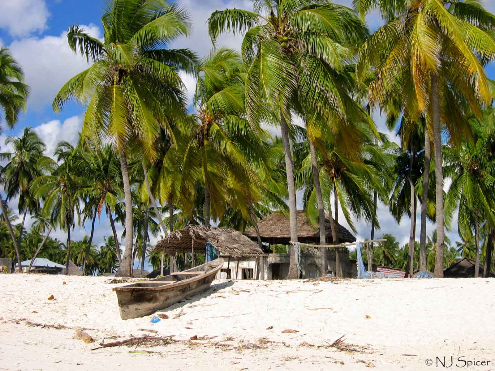 Beach_at_Zanzibar